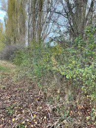 Teich am Schönauer Ring (Leipzig)-1