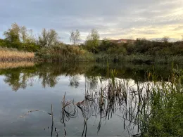 Teich am Schönauer Ring (Leipzig)-2