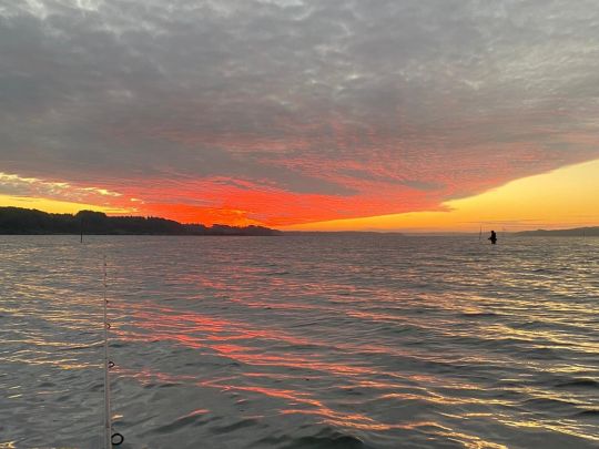 Mariagerfjord-1