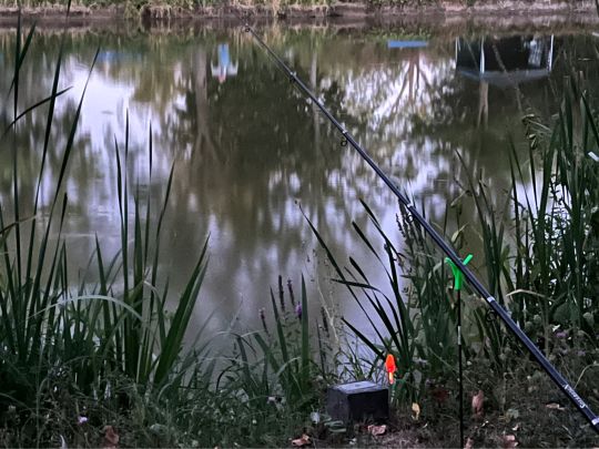 Angelweiher Nieder-Olm-3