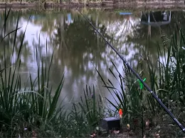 Angelweiher Nieder-Olm-3