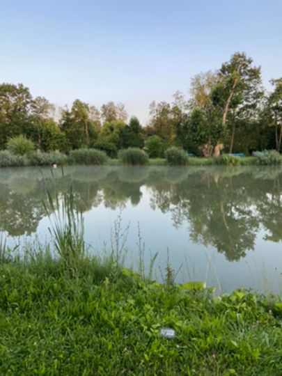 Angelweiher Nieder-Olm-2