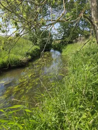 Große Mühlenhase (Quakenbrück)-1