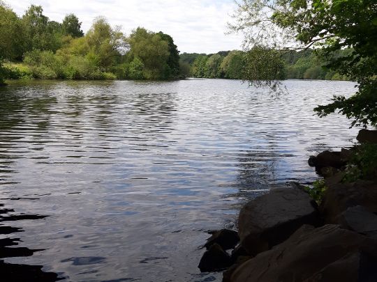 Ruhr (Witten)