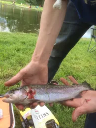 Angelpark Steinfeld-3