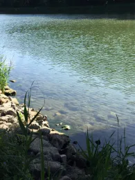 Mittellandkanal (Hespe)-1