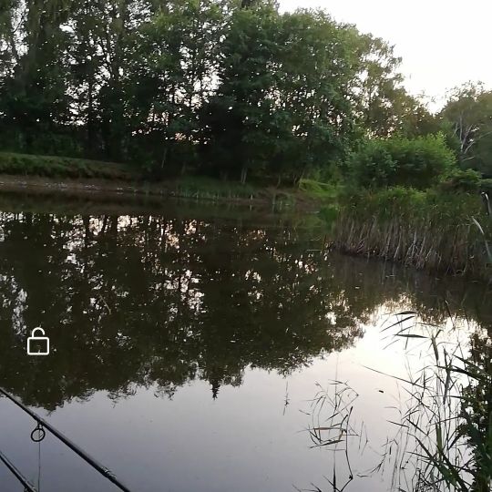 Teich Waldenau angeln