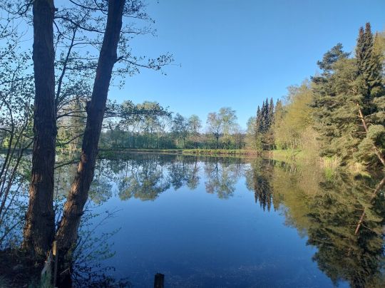 Teich Waldenau-3