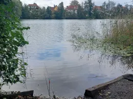 Großer Jahnteich (Weißwasser)-1