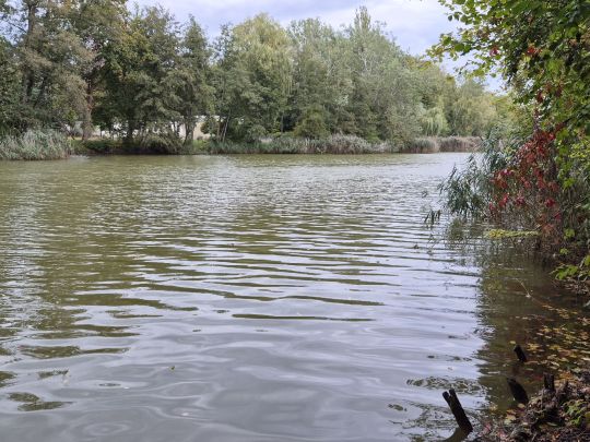 Großer Jahnteich (Weißwasser)