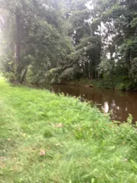 Schwarze-Elster-Kanal (Hoyerswerda)-4