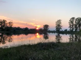 Kiesbaggerloch Randau-4