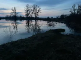 Kiesbaggerloch Randau