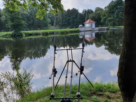 Zschopau (Frankenberg/Sa.)-4