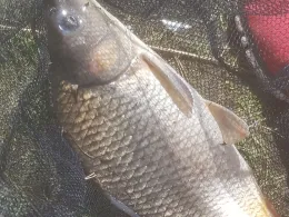 Kiesgrube Schönwalde