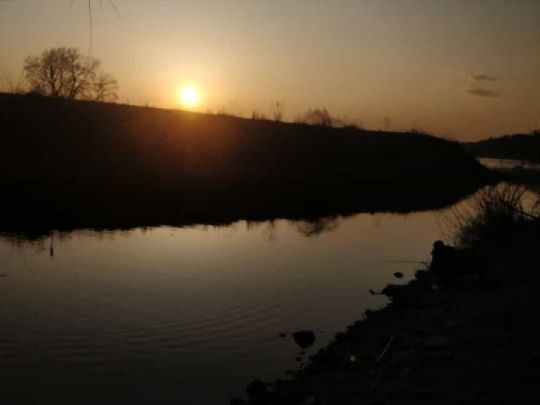 Loschwitzer Hafen (Dresden) -1
