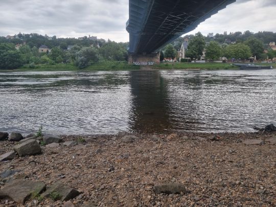 Loschwitzer Hafen (Dresden) -2