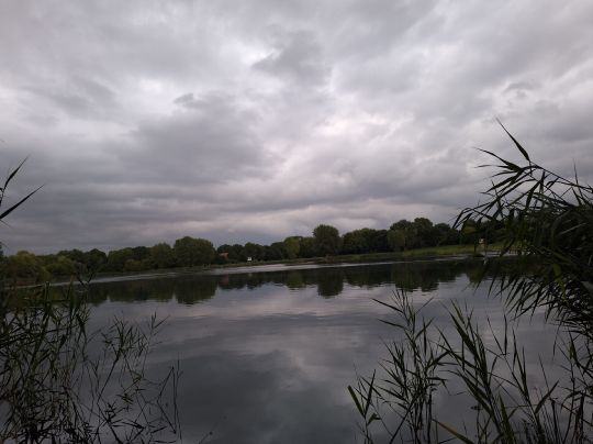 Halberstädter See 2-4