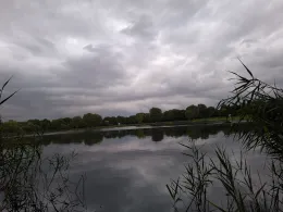 Halberstädter See 2-4