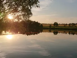 Mittelteich (Hasselfelde)-1