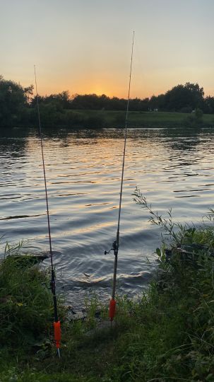 Weser (Schweringen)-1