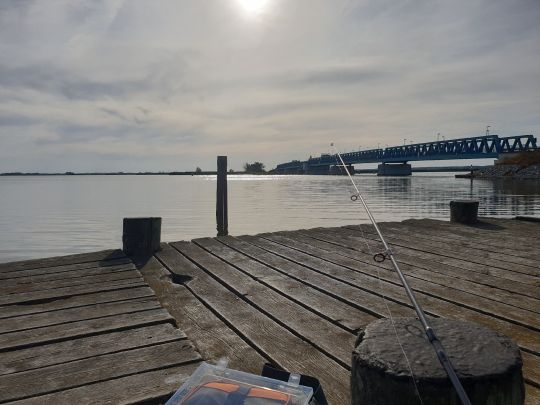 Peenestrom (Anklam)-2