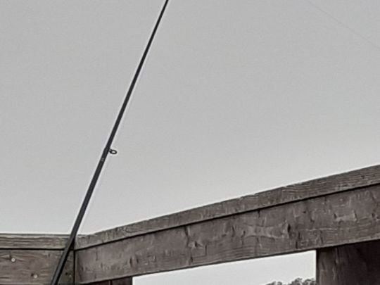 Peenestrom (Anklam)-1