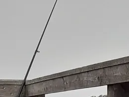 Peenestrom (Anklam)-1