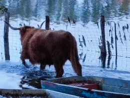 Kölpinsee (Milmersdorf)-1