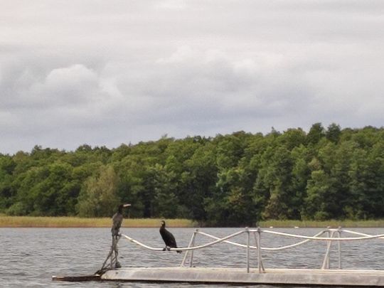 Kölpinsee (Milmersdorf)-2