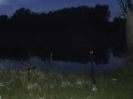 Hofteich (Stedten)-1