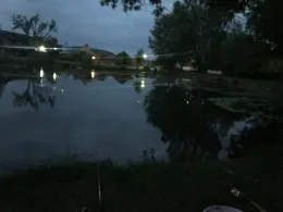 Oberer Hofteich (Sittichenbach)