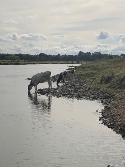 Weser (Petershagen)-2