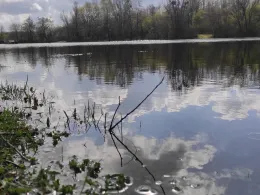 Gartensee (ASV Maintal)