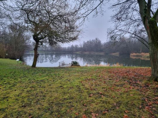 Gartensee (ASV Maintal)-4