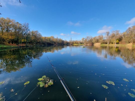 Gartensee (ASV Maintal)-3