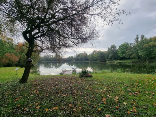 Gartensee (ASV Maintal)-2