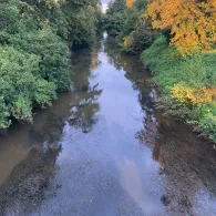 Gersprenz (Eppertshausen-Münster)