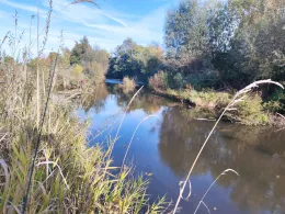 Gersprenz (Eppertshausen-Münster)-1