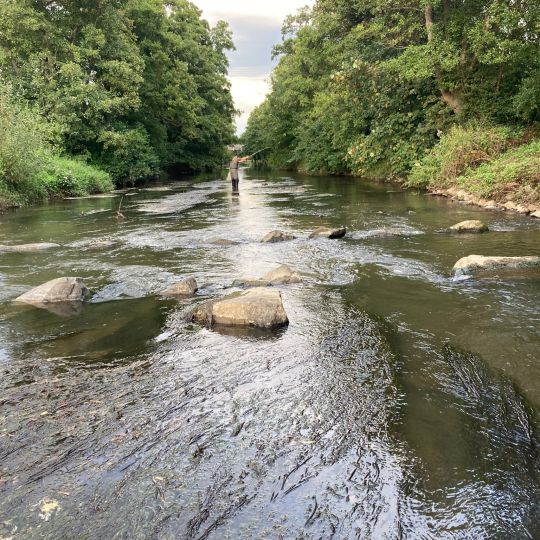 Gersprenz (Eppertshausen-Münster)-4