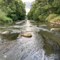 Gersprenz (Eppertshausen-Münster)-4
