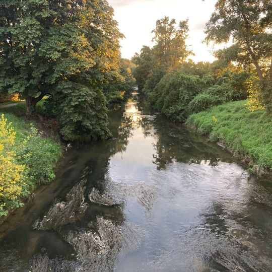 Gersprenz (Eppertshausen-Münster)-3
