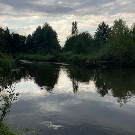 Gersprenz (Eppertshausen-Münster)-2