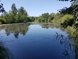 Torfkuhlen (Kessin)-1