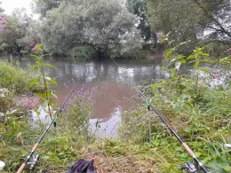 Werra (Barchfeld-Immelborn)