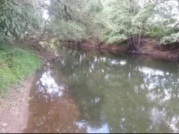 Werra (Barchfeld-Immelborn)-4