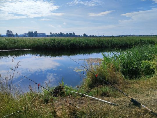 Uecker (Pasewalk)-4