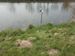 Leine (Alfeld/Leine)