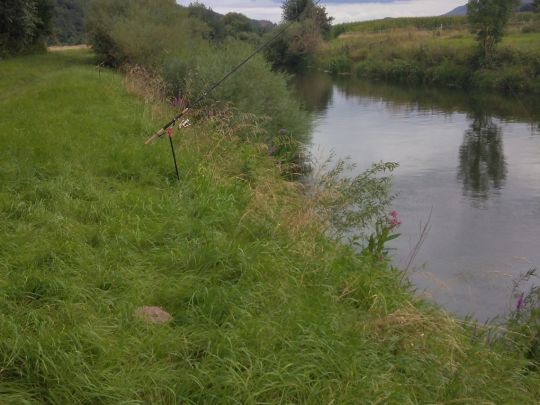 Leine (Alfeld/Leine)-3