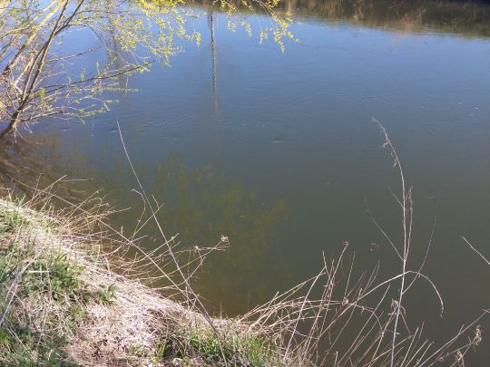 Leine (Alfeld/Leine)-2